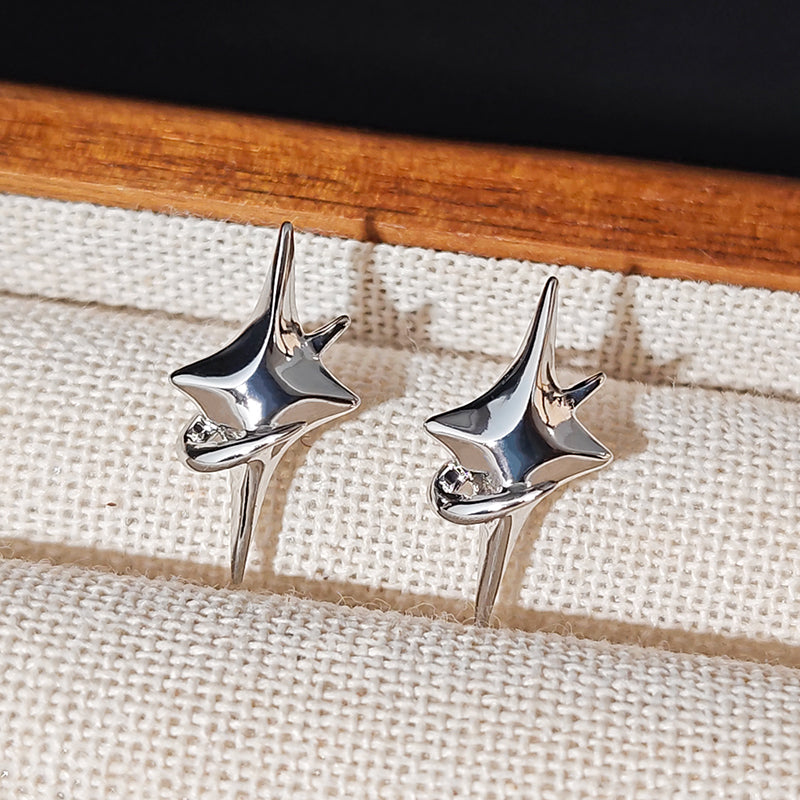 LOVEBUFF light and Night Jesse Birthday Star Earrings